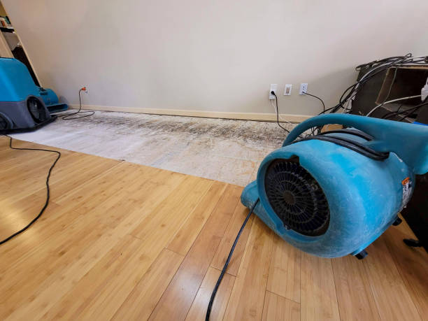 Professional Structural Drying technician working in Waterford, ME